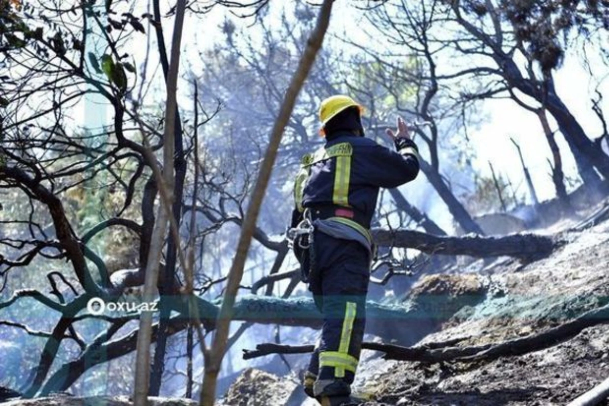 FHN: Oğuzda 3 ha sahədə meyvə ağacları yanıb - YENİLƏNİB